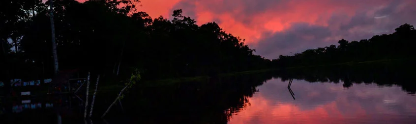 amazonas